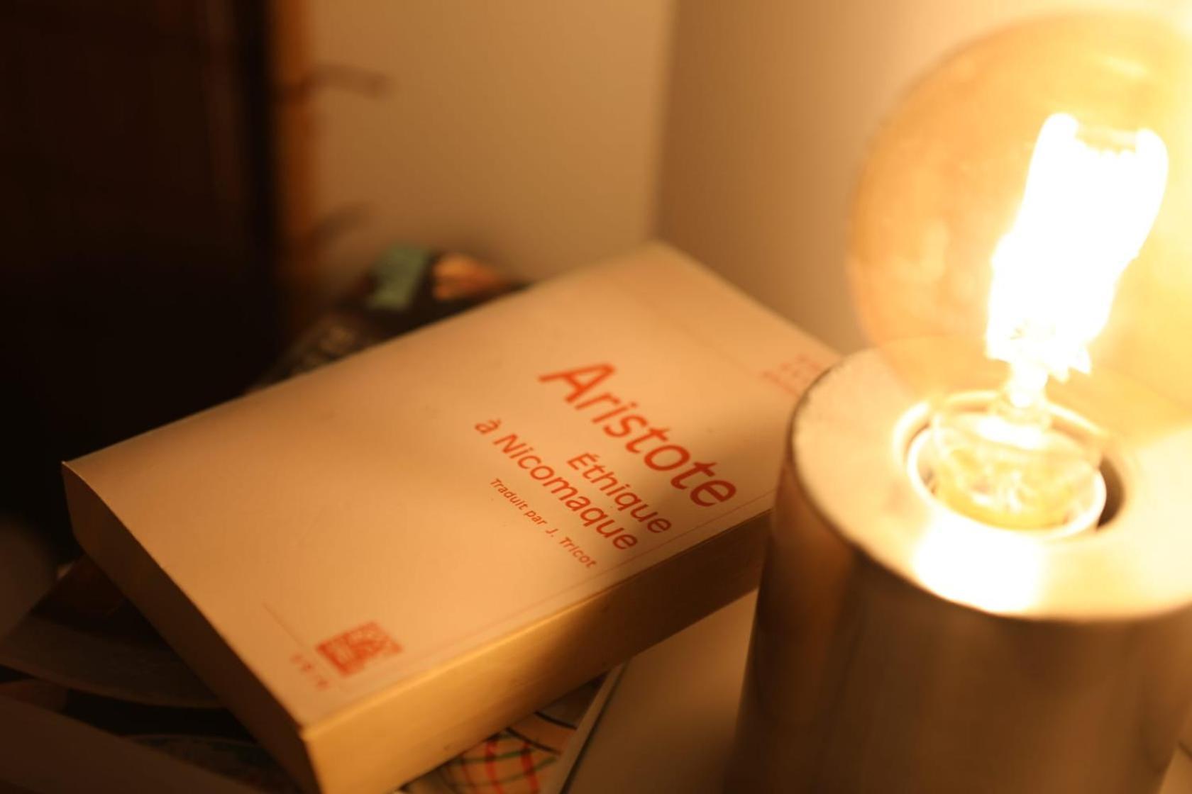 Le Nid 3 Etoiles Wifi, Netflix, Disney, Coeur De Bastide Villefranche-de-Rouergue Luaran gambar
